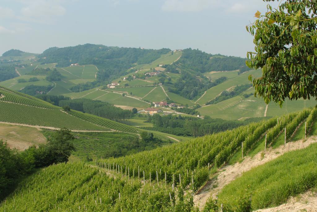Agriturismo I Grappoli Serralunga d'Alba Oda fotoğraf