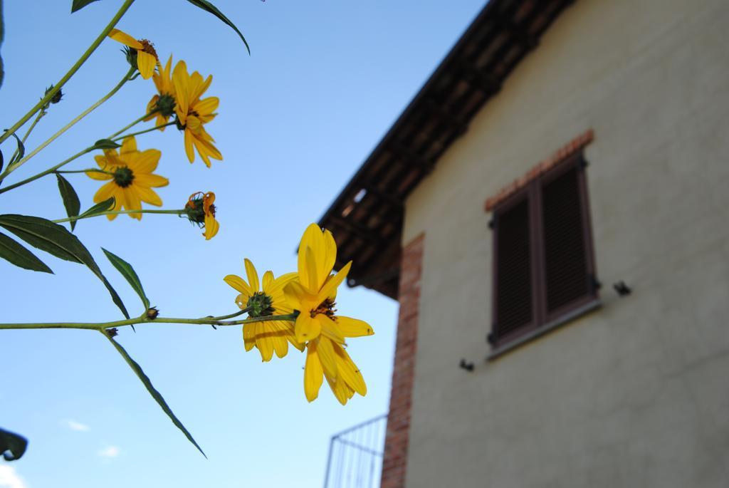 Agriturismo I Grappoli Serralunga d'Alba Dış mekan fotoğraf